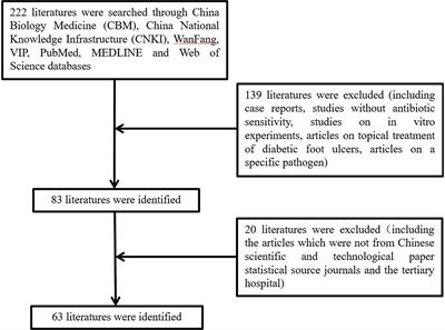 Microbial Infection and Antibiotic Susceptibility of Diabetic Foot Ulcer in China: Literature Review